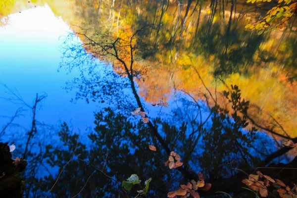 7つの湖 緑豊かな植物や動物 小さな滝 パスと温泉と大規模な自然エリア — ストック写真