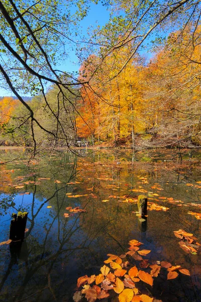 Large Natural Area Seven Lakes Lush Plants Animals Small Waterfalls — Stock Photo, Image