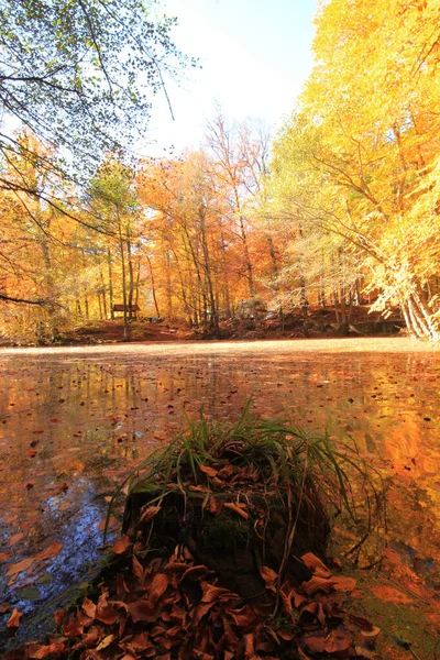 Grande Zone Naturelle Avec Sept Lacs Plantes Animaux Luxuriants Petites — Photo