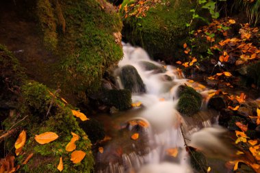 Yedi gölü, yemyeşil bitkileri ve hayvanları, küçük şelaleleri, patikaları ve kaplıcaları olan büyük doğal alan..