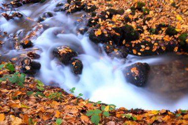 Yedi gölü, yemyeşil bitkileri ve hayvanları, küçük şelaleleri, patikaları ve kaplıcaları olan büyük doğal alan..
