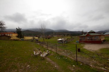 Tarakl, Sakarya 'nın güneydoğusunda, merkezden 65 kilometre, İstanbul' dan 200 kilometre ve Ankara 'dan 200 kilometre uzaklıktadır. Geyve ilçesi iken, 27 Haziran 1987 'de ilçe oldu..