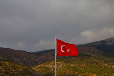 Tarakl, Sakarya 'nın güneydoğusunda, merkezden 65 kilometre, İstanbul' dan 200 kilometre ve Ankara 'dan 200 kilometre uzaklıktadır. Geyve ilçesi iken, 27 Haziran 1987 'de ilçe oldu..