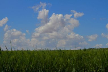 Halfeti, Sanliurfa ilinin bir ilçesidir. Şanlıurfa 'nın batısında yer almaktadır..