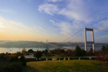 Eskiden Otatepe Parkı olarak bilinen yer, şimdi Fatih Grove Tema Vehbi Ko Doğa Kültür Merkezi olarak biliniyor..