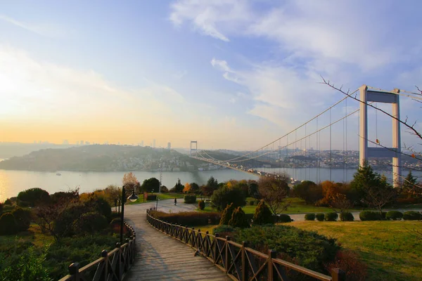 Lugar Anteriormente Conocido Como Otatepe Park Ahora Llama Fatih Grove — Foto de Stock