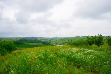 Şair ve onun çalışmaları