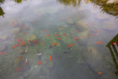 1 milyon metrekarelik bir alanı ile Beylikdz 'de kurulan en büyük kentsel parklardan biridir. Japon bahçesi ve birçok etkinlik alanı
