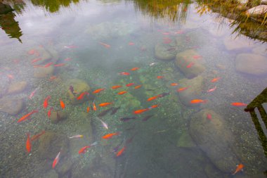 1 milyon metrekarelik bir alanı ile Beylikdz 'de kurulan en büyük kentsel parklardan biridir. Japon bahçesi ve birçok etkinlik alanı