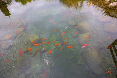 1 milyon metrekarelik bir alanı ile Beylikdz 'de kurulan en büyük kentsel parklardan biridir. Japon bahçesi ve birçok etkinlik alanı