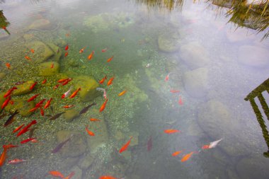 1 milyon metrekarelik bir alanı ile Beylikdz 'de kurulan en büyük kentsel parklardan biridir. Japon bahçesi ve birçok etkinlik alanı