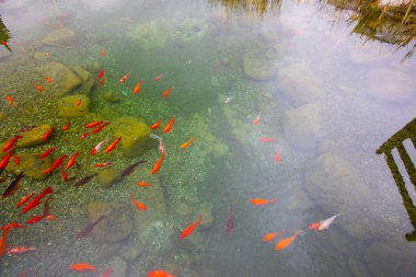 1 milyon metrekarelik bir alanı ile Beylikdz 'de kurulan en büyük kentsel parklardan biridir. Japon bahçesi ve birçok etkinlik alanı