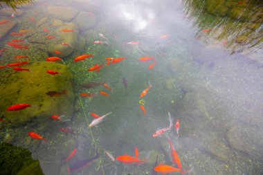 1 milyon metrekarelik bir alanı ile Beylikdz 'de kurulan en büyük kentsel parklardan biridir. Japon bahçesi ve birçok etkinlik alanı