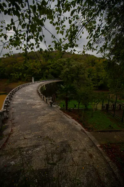 Atatruk Arboretum Uma Grande Área Verde Distrito Sariyer Istambul Estrada — Fotografia de Stock