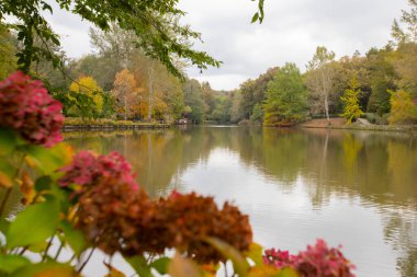 Atatrk botanik bahçesi, ağaçların ve odunsu bitkilerin sergilendiği Kemerburgaz-Baheky yolunda, İstanbul 'un Saryer ilçesinde geniş bir yeşil alandır..