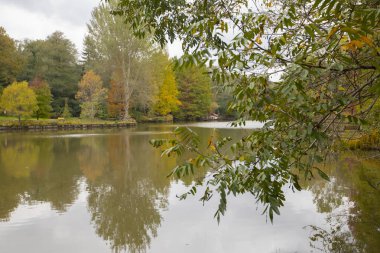 Atatrk botanik bahçesi, ağaçların ve odunsu bitkilerin sergilendiği Kemerburgaz-Baheky yolunda, İstanbul 'un Saryer ilçesinde geniş bir yeşil alandır..