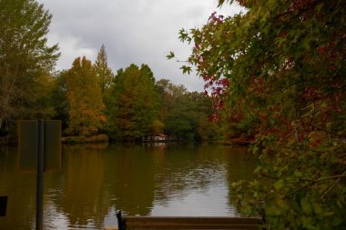 Atatrk botanik bahçesi, ağaçların ve odunsu bitkilerin sergilendiği Kemerburgaz-Baheky yolunda, İstanbul 'un Saryer ilçesinde geniş bir yeşil alandır..
