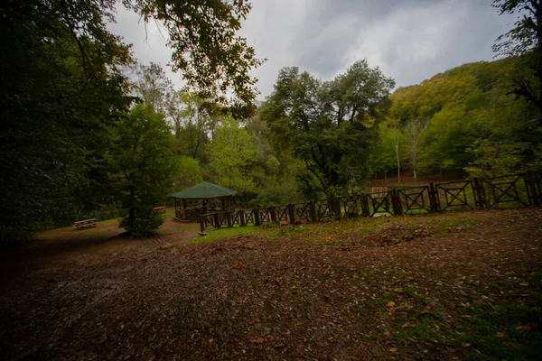 Atatruk Arboretum Ist Eine Große Grünfläche Stadtteil Sariyer Istanbul Der — Stockfoto