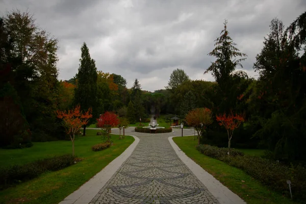 Atatruk Arboretum Est Grand Espace Vert Dans Quartier Sariyer Istanbul — Photo