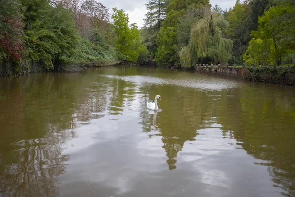 Atatrk Arboretum Een Groot Groen Gebied Het Saryer District Van — Stockfoto