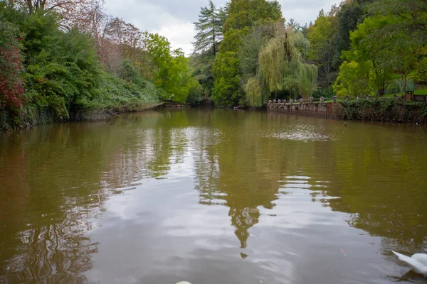 Atatrk Arboretum Een Groot Groen Gebied Het Saryer District Van — Stockfoto