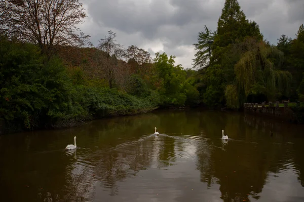 Atatrk Arboretum Een Groot Groen Gebied Het Saryer District Van — Stockfoto