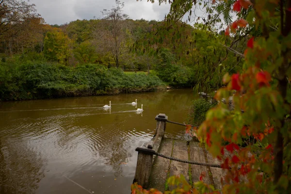 Atatrk Arboretum Uma Grande Área Verde Distrito Saryer Istambul Estrada — Fotografia de Stock