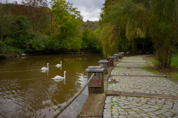 Atatrk Arboretum Een Groot Groen Gebied Het Saryer District Van — Stockfoto