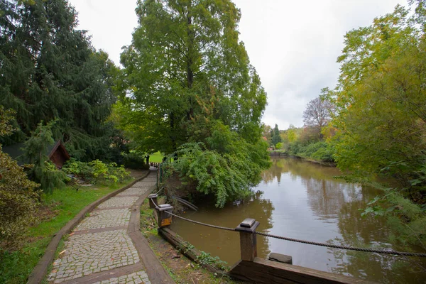 Atatrk Arboretum Uma Grande Área Verde Distrito Saryer Istambul Estrada — Fotografia de Stock