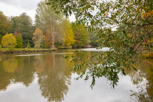 Atatrk Arboretum Velká Zelená Plocha Okrese Saryer Istanbulu Silnici Kemerburgaz — Stock fotografie