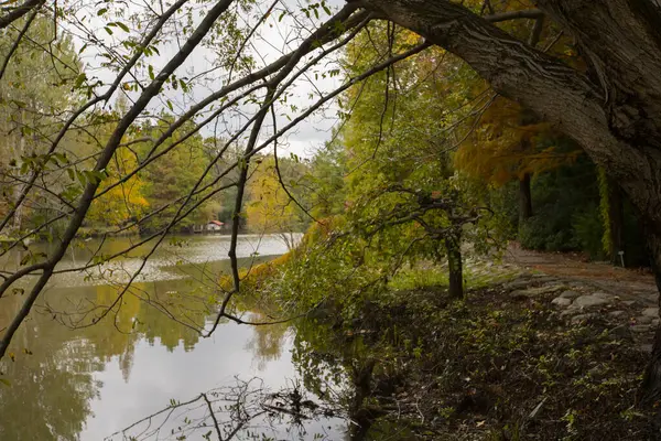 Atatrk Arboretum Uma Grande Área Verde Distrito Saryer Istambul Estrada — Fotografia de Stock