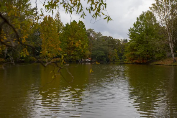 Atatrk Arboretum Una Grande Area Verde Nel Quartiere Saryer Istanbul — Foto Stock