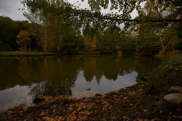 Atatrk Arboretum Una Grande Area Verde Nel Quartiere Saryer Istanbul — Foto Stock