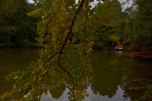 Atatrk Arboretum Jest Dużym Terenem Zielonym Dzielnicy Saryer Stambule Przy — Zdjęcie stockowe