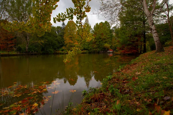 Atatrk Arboretum Una Grande Area Verde Nel Quartiere Saryer Istanbul — Foto Stock