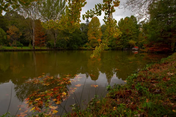 Atatrk Arboretum Jest Dużym Terenem Zielonym Dzielnicy Saryer Stambule Przy — Zdjęcie stockowe