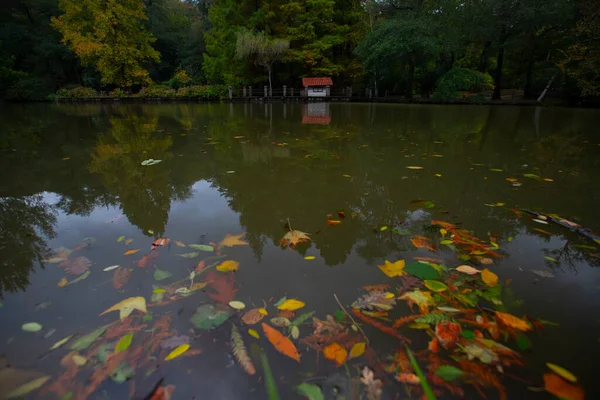 Atatrk Arboretum Una Grande Area Verde Nel Quartiere Saryer Istanbul — Foto Stock