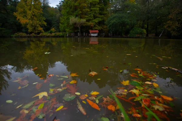 Atatrk Arboretum Una Grande Area Verde Nel Quartiere Saryer Istanbul — Foto Stock