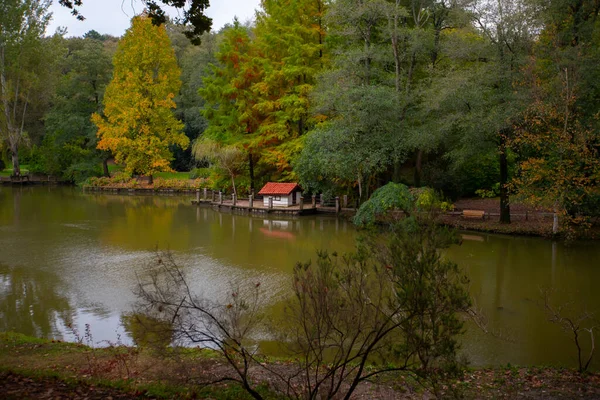 Atatrk Arboretum Jest Dużym Terenem Zielonym Dzielnicy Saryer Stambule Przy — Zdjęcie stockowe