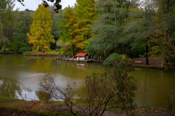 Atatrk Arboretum Velká Zelená Plocha Okrese Saryer Istanbulu Silnici Kemerburgaz — Stock fotografie