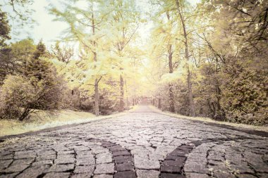 Kızılötesi filtreler görülebilir ışığı engelleyerek kızılötesi dalga boyuna ateş etmemizi sağlar. Atış tekniği ve maruz kalma ND filtresiyle yapılan çekimlere benzer..