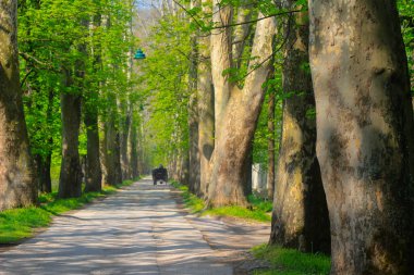 Vrelo Bosne, Bosna-Hersek 'in Ilca belediyesinde yer alan bir park. Park, Bosna Nehri 'nin sıcak kaynağı olan Igman Dağı' nın eteklerinde yer almaktadır ve ülkenin en popüler doğal alanlarından biridir..