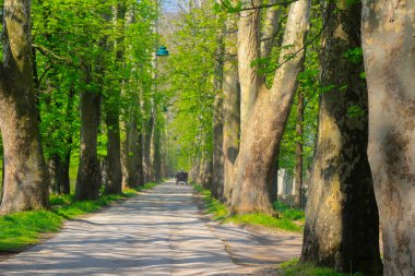 Vrelo Bosne, Bosna-Hersek 'in Ilca belediyesinde yer alan bir park. Park, Bosna Nehri 'nin sıcak kaynağı olan Igman Dağı' nın eteklerinde yer almaktadır ve ülkenin en popüler doğal alanlarından biridir..