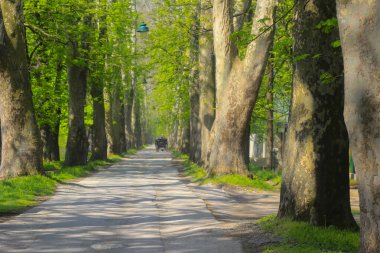 Vrelo Bosne, Bosna-Hersek 'in Ilca belediyesinde yer alan bir park. Park, Bosna Nehri 'nin sıcak kaynağı olan Igman Dağı' nın eteklerinde yer almaktadır ve ülkenin en popüler doğal alanlarından biridir..