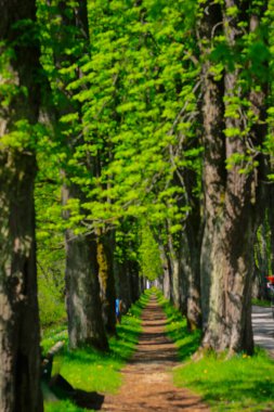 Vrelo Bosne, Bosna-Hersek 'in Ilca belediyesinde yer alan bir park. Park, Bosna Nehri 'nin sıcak kaynağı olan Igman Dağı' nın eteklerinde yer almaktadır ve ülkenin en popüler doğal alanlarından biridir..