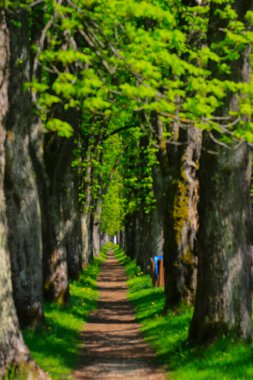 Vrelo Bosne, Bosna-Hersek 'in Ilca belediyesinde yer alan bir park. Park, Bosna Nehri 'nin sıcak kaynağı olan Igman Dağı' nın eteklerinde yer almaktadır ve ülkenin en popüler doğal alanlarından biridir..