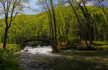 Vrelo Bosne, Bosna-Hersek 'in Ilca belediyesinde yer alan bir park. Park, Bosna Nehri 'nin sıcak kaynağı olan Igman Dağı' nın eteklerinde yer almaktadır ve ülkenin en popüler doğal alanlarından biridir..