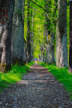 Vrelo Bosne, Bosna-Hersek 'in Ilca belediyesinde yer alan bir park. Park, Bosna Nehri 'nin sıcak kaynağı olan Igman Dağı' nın eteklerinde yer almaktadır ve ülkenin en popüler doğal alanlarından biridir..
