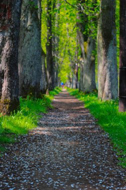 Vrelo Bosne, Bosna-Hersek 'in Ilca belediyesinde yer alan bir park. Park, Bosna Nehri 'nin sıcak kaynağı olan Igman Dağı' nın eteklerinde yer almaktadır ve ülkenin en popüler doğal alanlarından biridir..