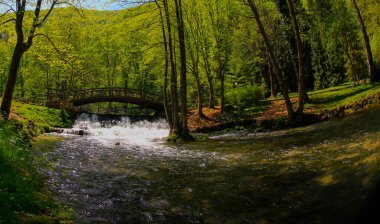 Vrelo Bosne, Bosna-Hersek 'in Ilca belediyesinde yer alan bir park. Park, Bosna Nehri 'nin sıcak kaynağı olan Igman Dağı' nın eteklerinde yer almaktadır ve ülkenin en popüler doğal alanlarından biridir..
